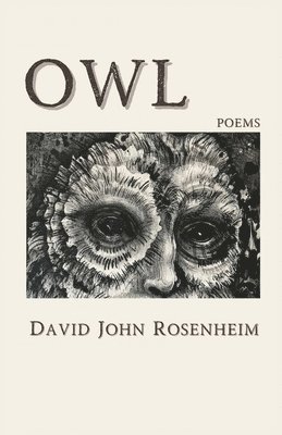 Owl 1