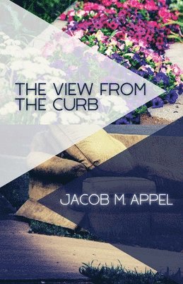 View from the Curb