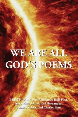 bokomslag We Are All God's Poems