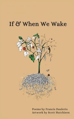 If & When We Wake 1