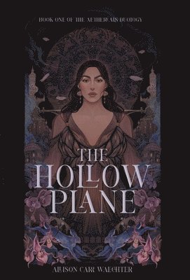 The Hollow Plane 1