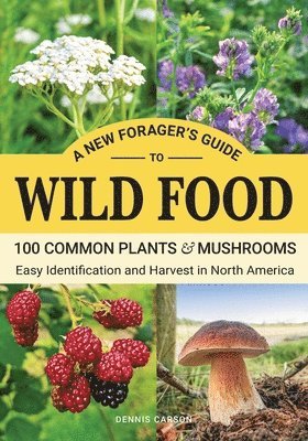 bokomslag A New Forager's Guide To Wild Food