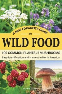 bokomslag A New Forager's Guide To Wild Food