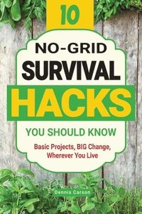 bokomslag 10 No-Grid Survival Hacks You Should Know