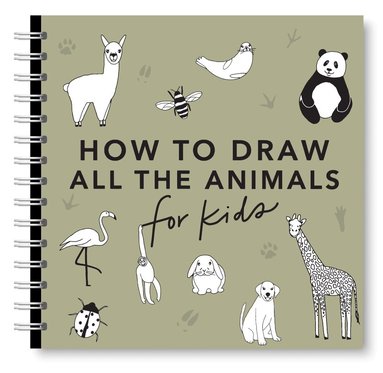 Alli Koch - All the Animals: How to Draw Books for Kids with Dogs, Cats, Lions, Dolphins, and More, Häftad