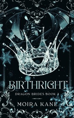 bokomslag Birthright