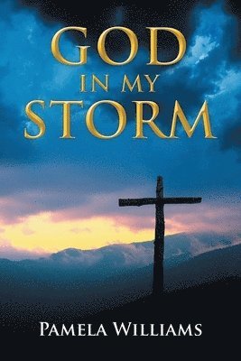 Pamela Williams - God In My Storm, Häftad