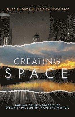 Bryan D Sims, Craig W Robertson - Creating Space, Häftad