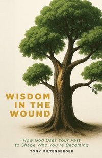 bokomslag Wisdom in the Wound: How God Uses Your Past to Shape Who You're Becoming