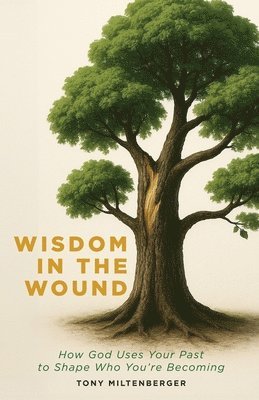bokomslag Wisdom in the Wound: How God Uses Your Past to Shape Who You're Becoming
