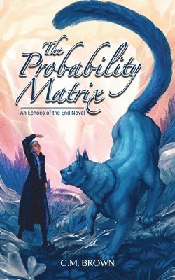 The Probability Matrix 1