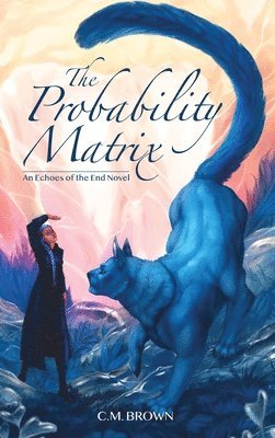 The Probability Matrix 1