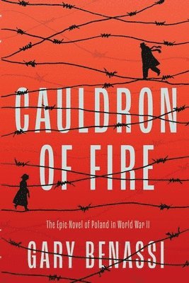 bokomslag Cauldron of Fire
