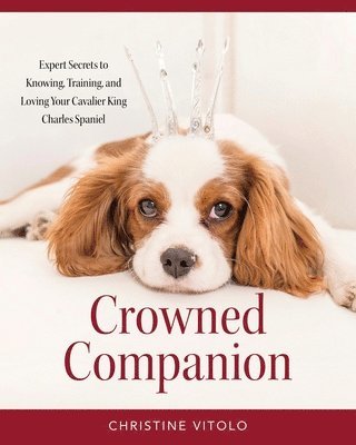 Crowned Companion 1