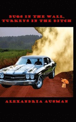 Bugs in the Wall, Turkeys in the Ditch