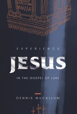 bokomslag Experience Jesus in the Gospel of Luke