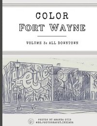 bokomslag Color Fort Wayne Volume Three