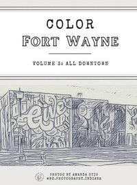 bokomslag Color Fort Wayne Volume 3