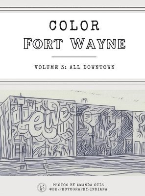 Color Fort Wayne Volume 3 1