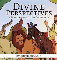 bokomslag Divine Perspectives