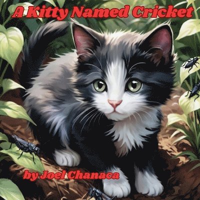Kitty Named Cricket