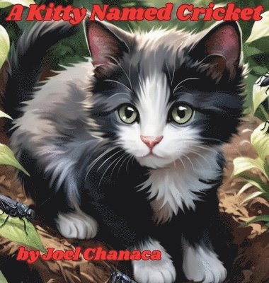 Kitty Named Cricket