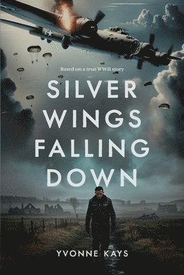 Yvonne Kays - Silver Wings Falling Down, Häftad