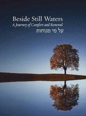 bokomslag Beside Still Waters: A Journey of Comfort and Renewal - Large Print Edition