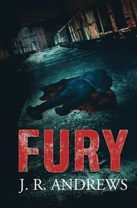 bokomslag Fury