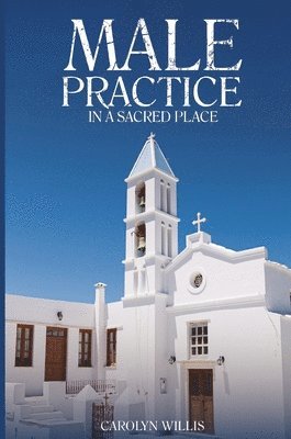 Carolyn Willis - Male Practice in a Sacred Place, Häftad