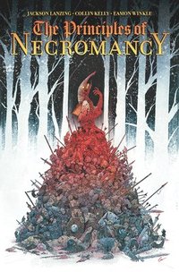 bokomslag The Principles of Necromancy, Volume 1