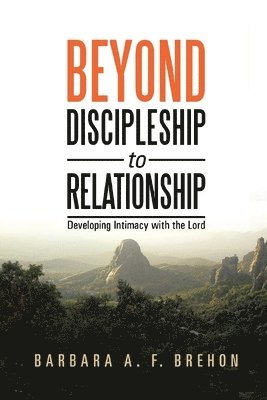 bokomslag Beyond Discipleship to Relationship