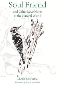 bokomslag Soul Friend: And Other Love Notes to the Natural World