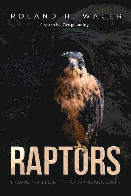 bokomslag Raptors