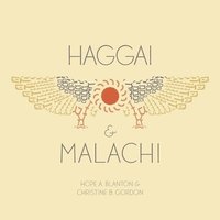 bokomslag Haggai and Malachi: At His Feet Studies
