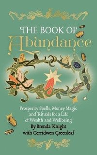 bokomslag Book of Abundance