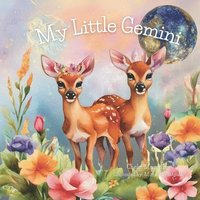 bokomslag My Little Gemini