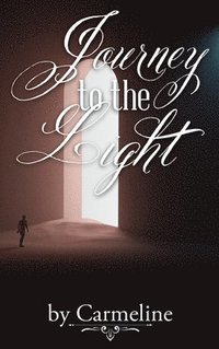 bokomslag Journey to the Light