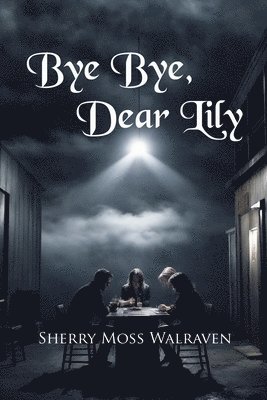 bokomslag Bye Bye, Dear Lily
