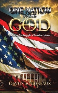 bokomslag One Nation Under God: Biblical Backing for Christian Voters