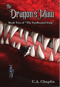 bokomslag Dragon's Maw