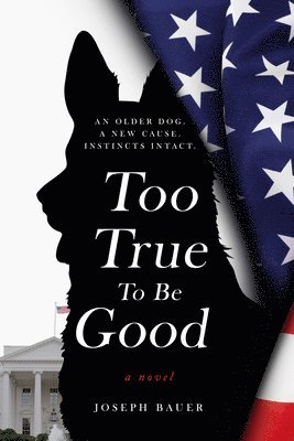 Joseph Bauer - Too True to Be Good, Häftad