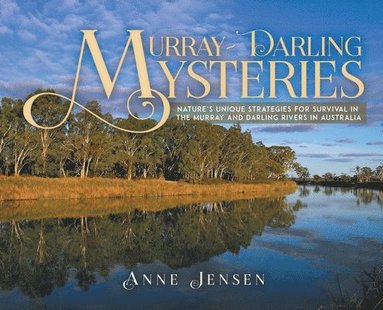 Anne Jensen - Murray-Darling Mysteries, Inbunden