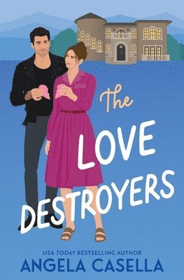 bokomslag Love Destroyers