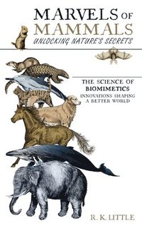 bokomslag Marvels of Mammals