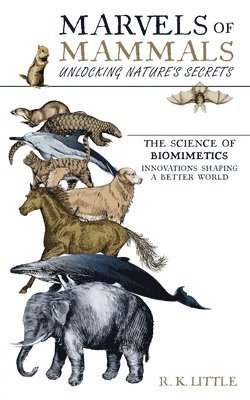bokomslag Marvels of Mammals