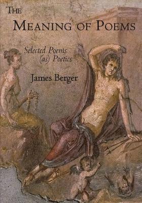 James Berger - Meaning of Poems, Häftad