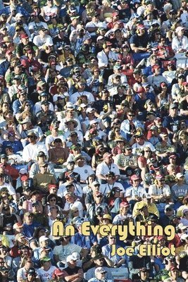 bokomslag Everything