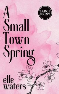 bokomslag Small Town Spring