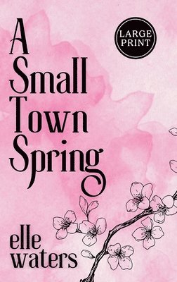 bokomslag Small Town Spring